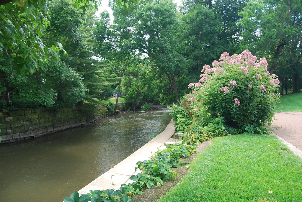 Naperville August 2009 123