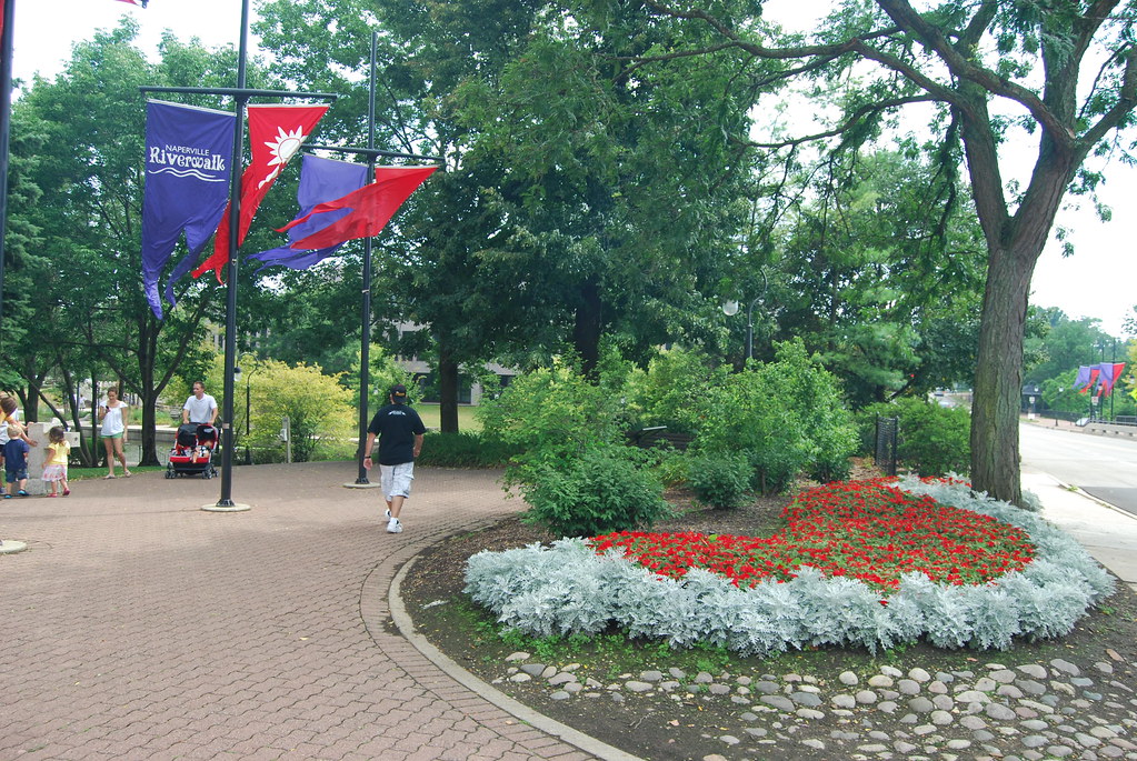Naperville August 2009 142