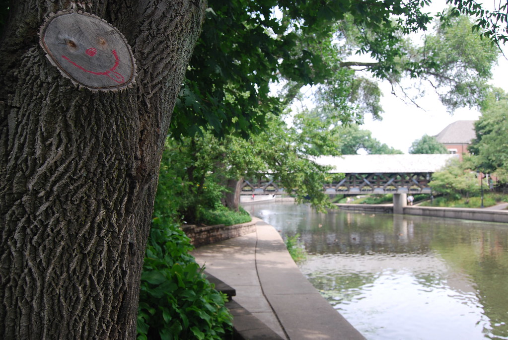 Naperville Graffiti August 2009 145