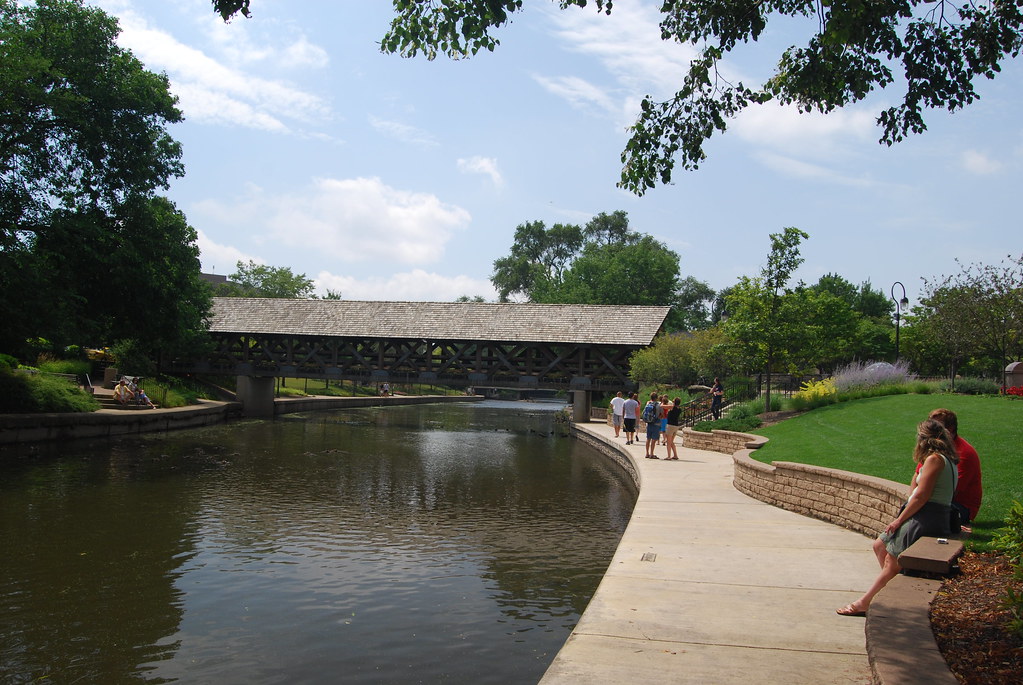 Naperville August 8th 2009 001
