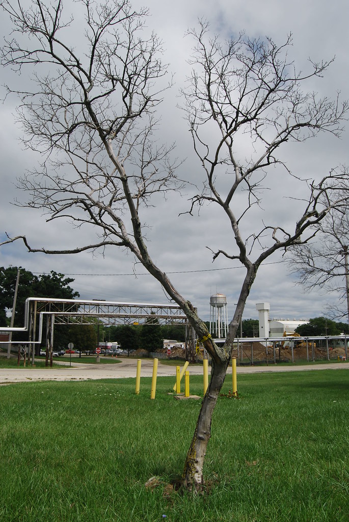 Argonne National Laboratory Campus 118