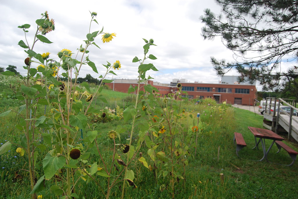 Argonne National Laboratory Farm