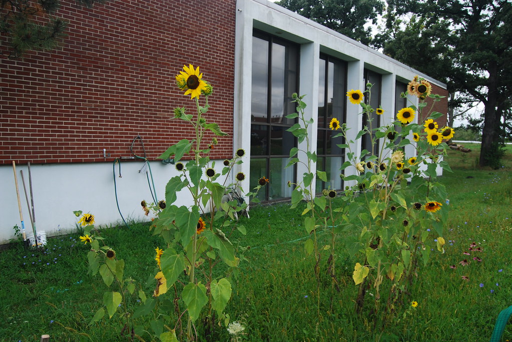 Argonne National Laboratory Campus 087