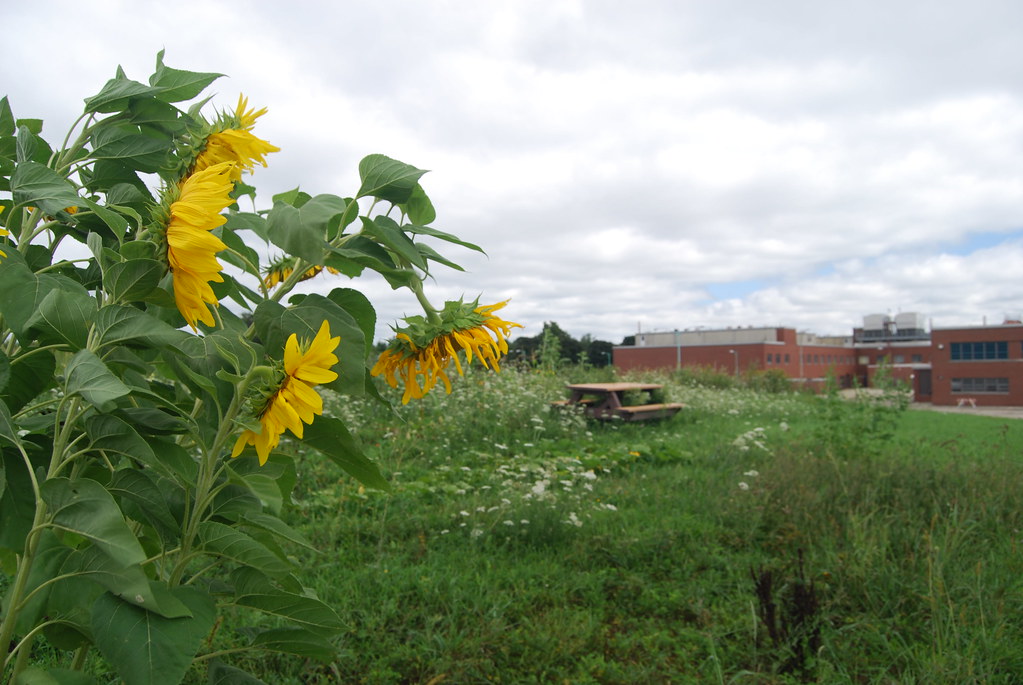 Argonne National Laboratory Campus 083