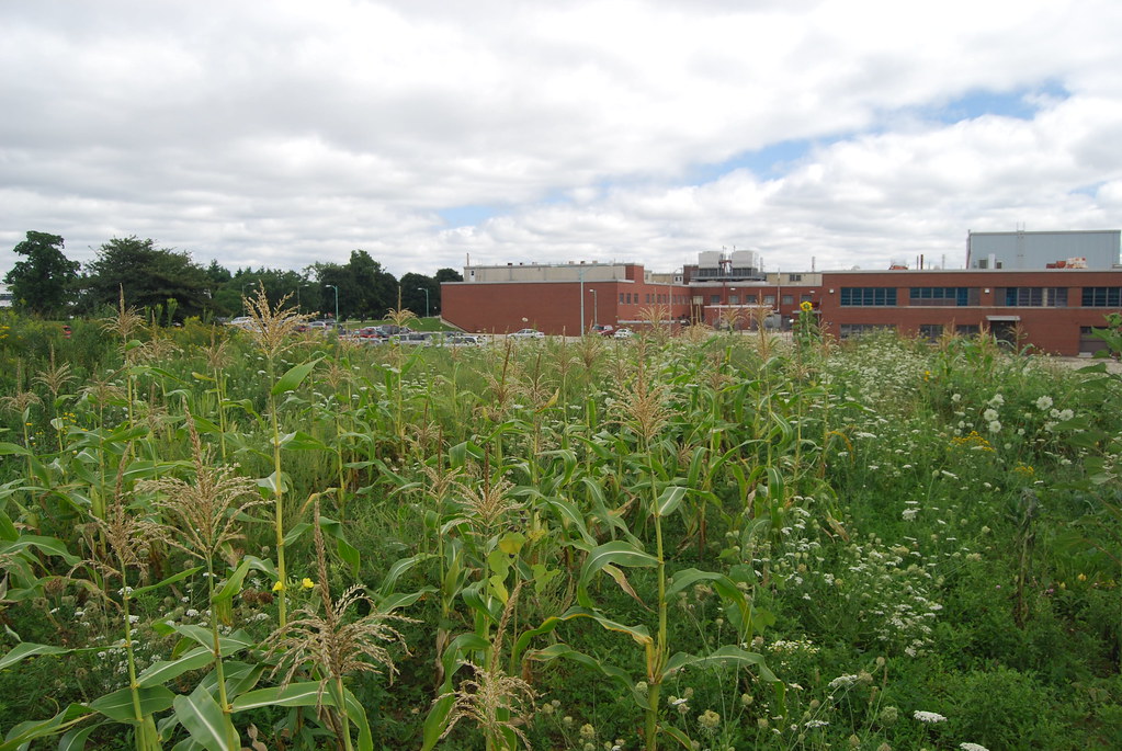 Argonne National Laboratory Campus 079