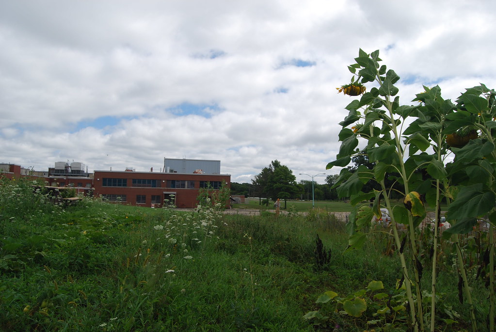 Argonne National Laboratory Campus 077