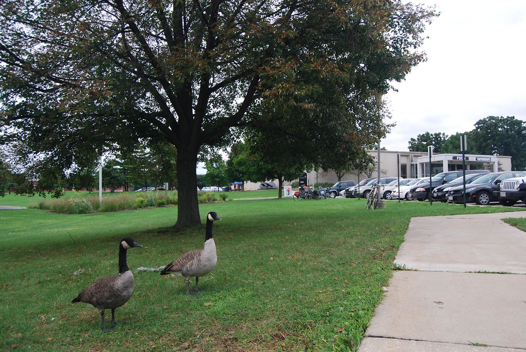 Argonne National Laboratory Campus 016