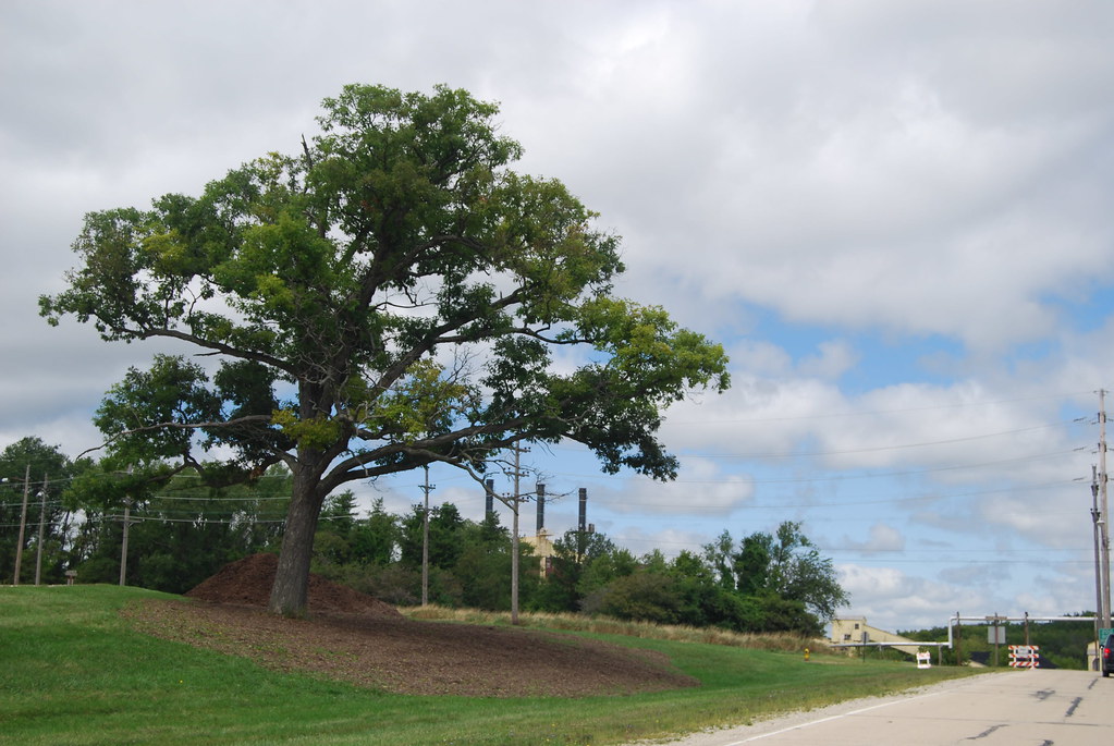 Argonne National Laboratory Campus 164