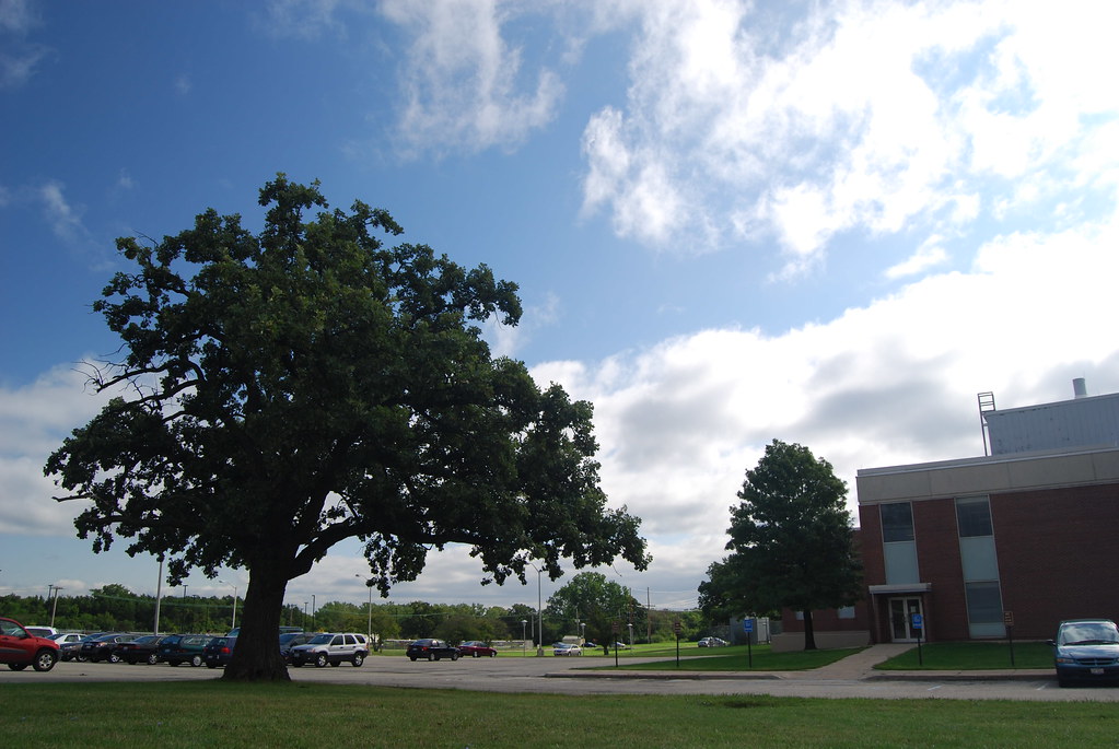 argonne national laboratory Atlas 033