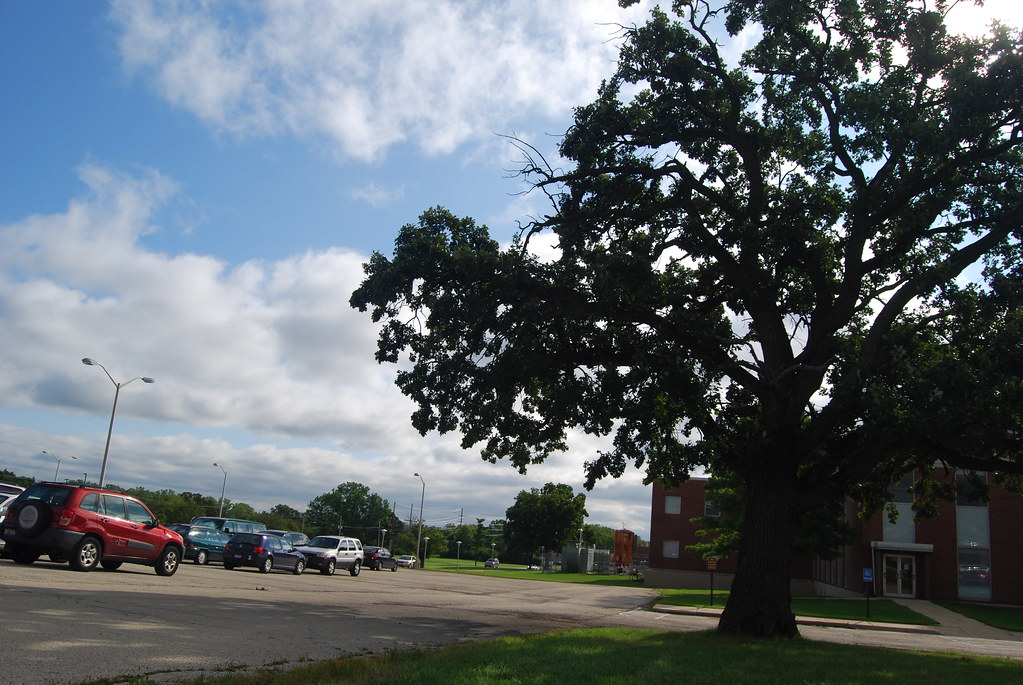 argonne national laboratory Atlas 031
