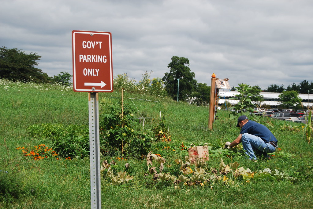 Gardening at Argonne National Laboratory
