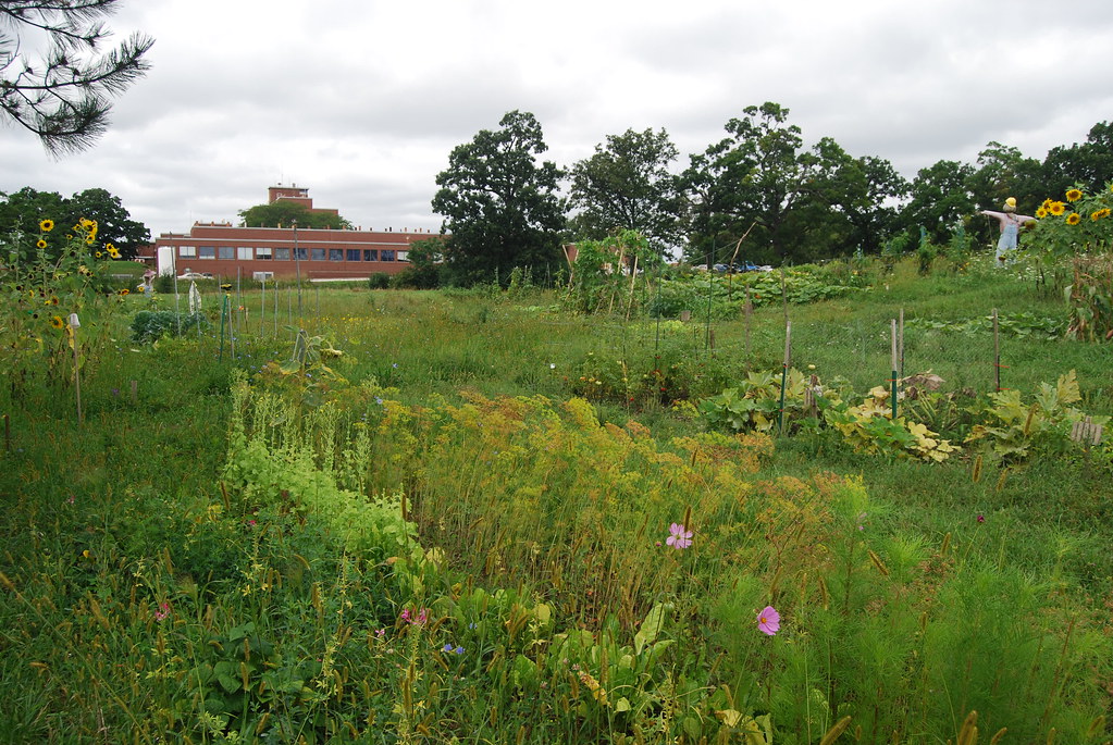 Argonne National Laboratory Garden