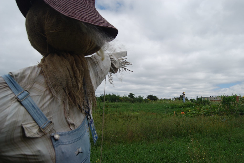 Argonne National Laboratory Scarecrows