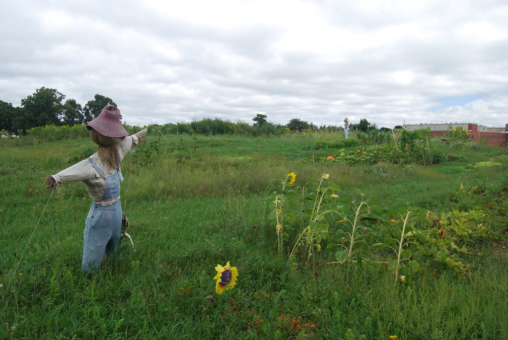 Scarecrow Argonne National Laboratory