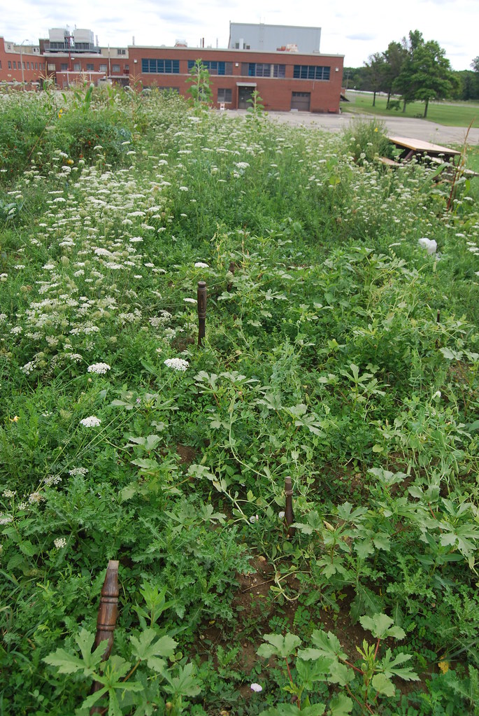 Argonne National Laboratory Campus 082