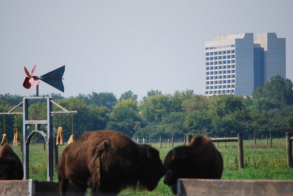 Fermilab Buffalo 081