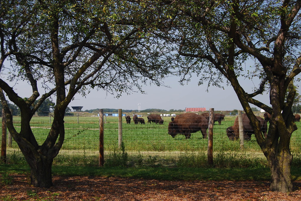 Fermilab Buffalo 102