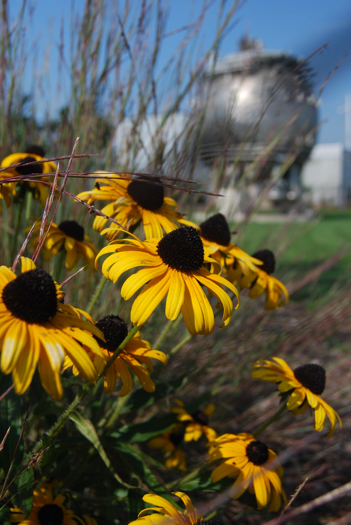 Fermilab 019
