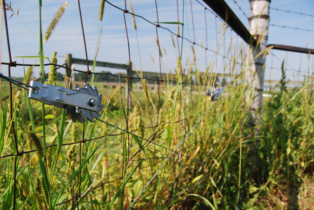 Fermilab Buffalo Fence
