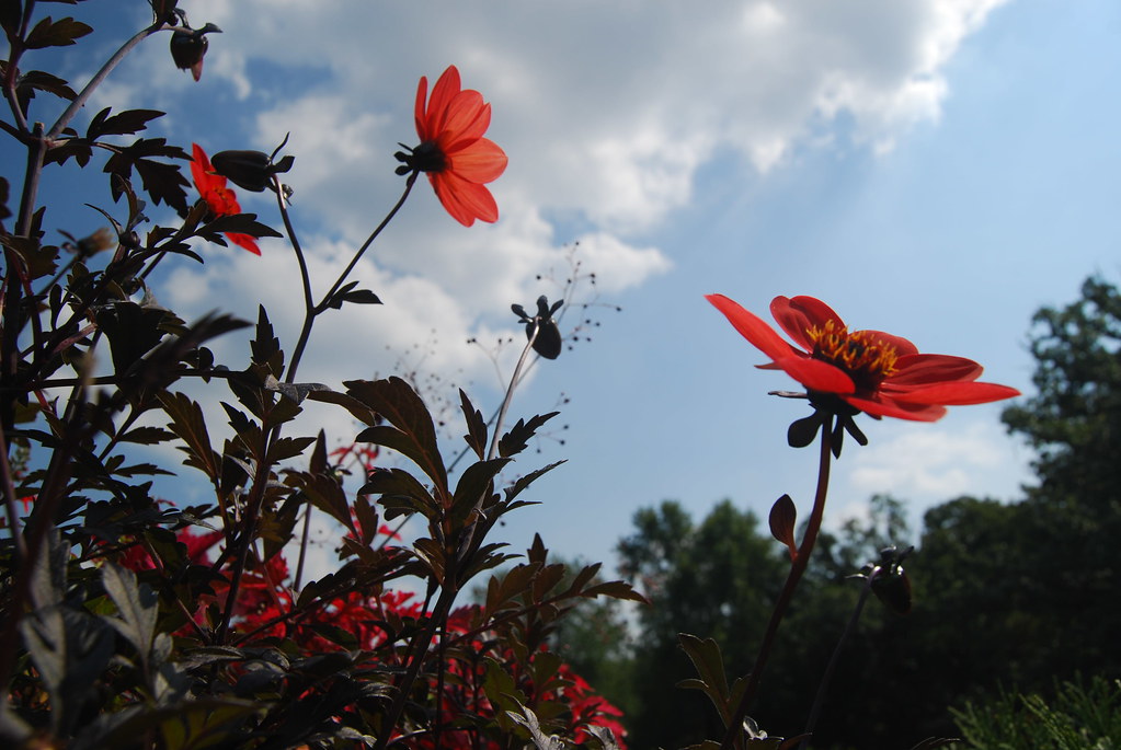 Cantigny Park 103