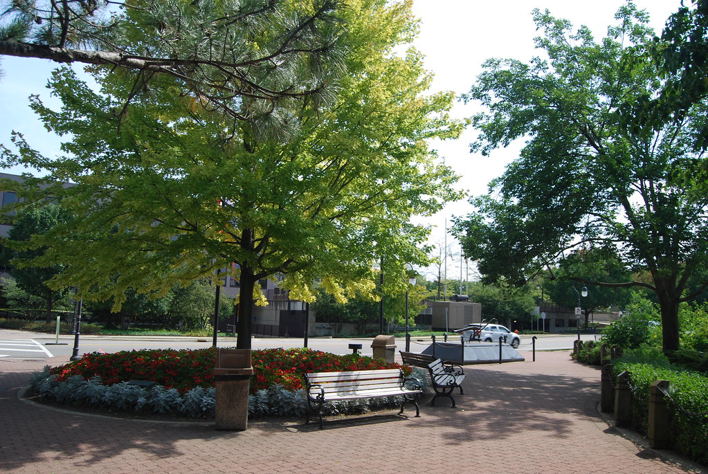 Naperville 101