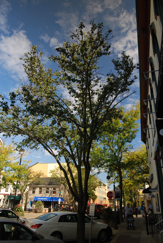 Naperville 024