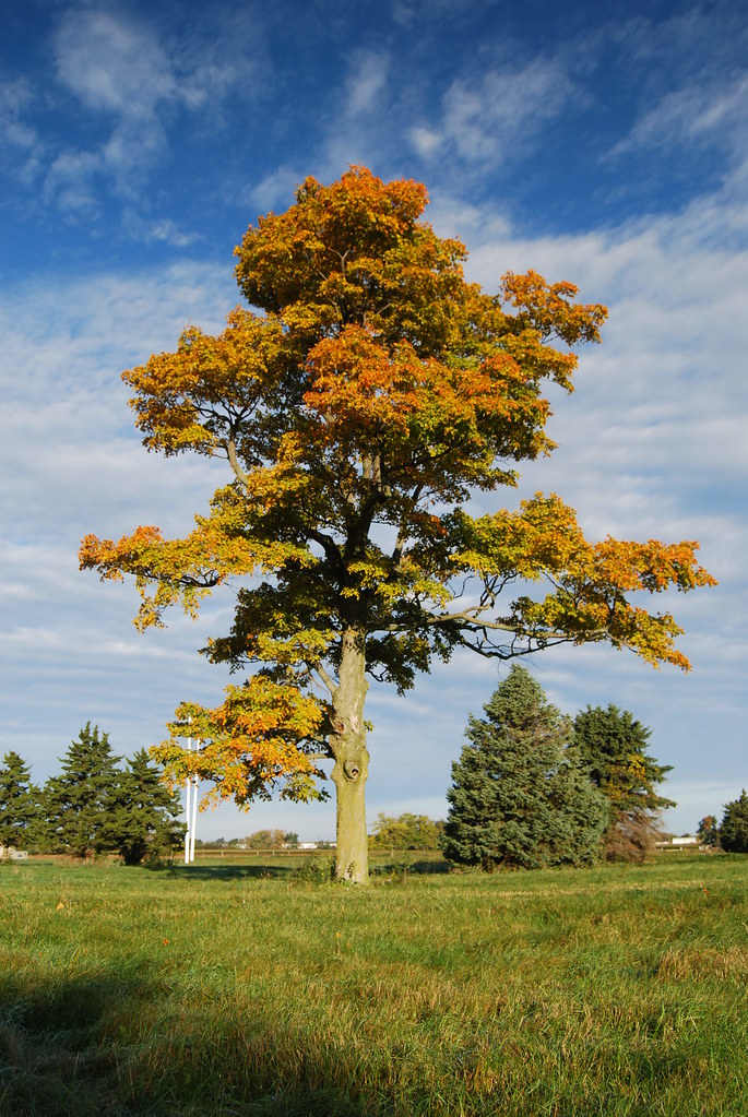 Fermilab Campus in Fall 003