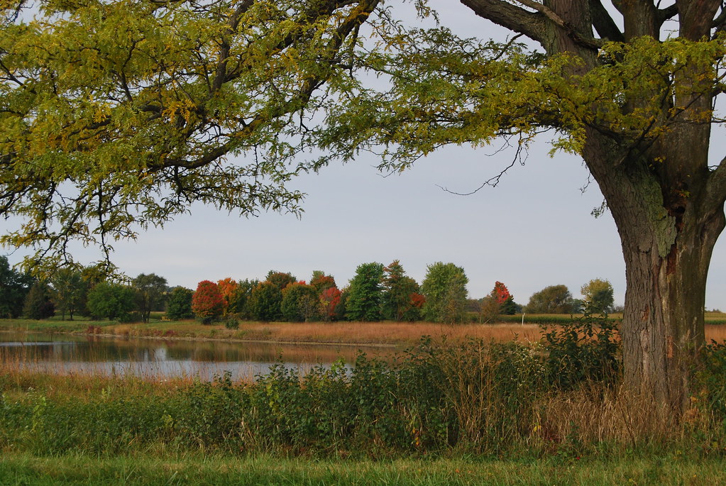 Fermilab Campus in Fall 046