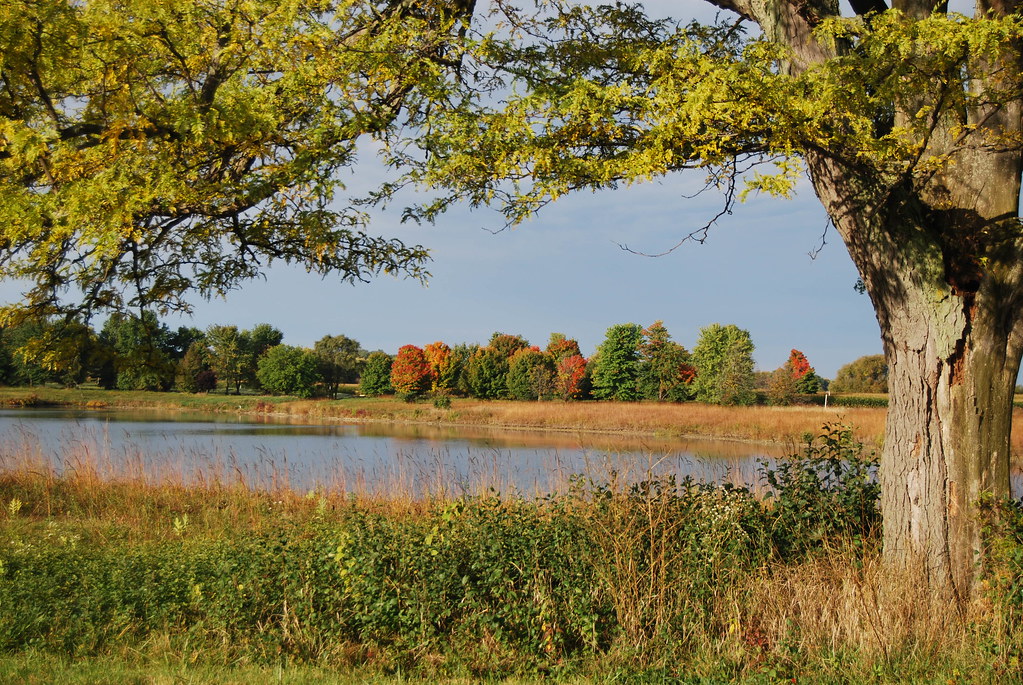 Fermilab Campus in Fall 017