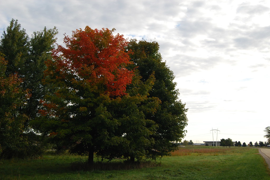 Fermilab Campus in Fall 049