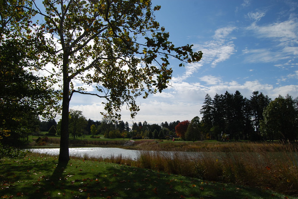 Morton Arboretum 084