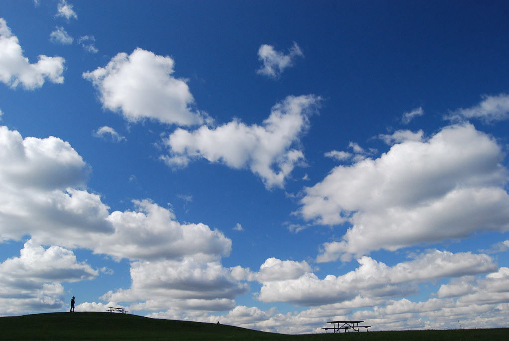 Autumn at Naperville Scenic Overlook 258