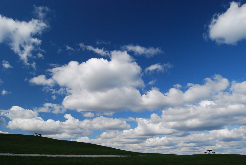 Autumn at Naperville Scenic Overlook 261