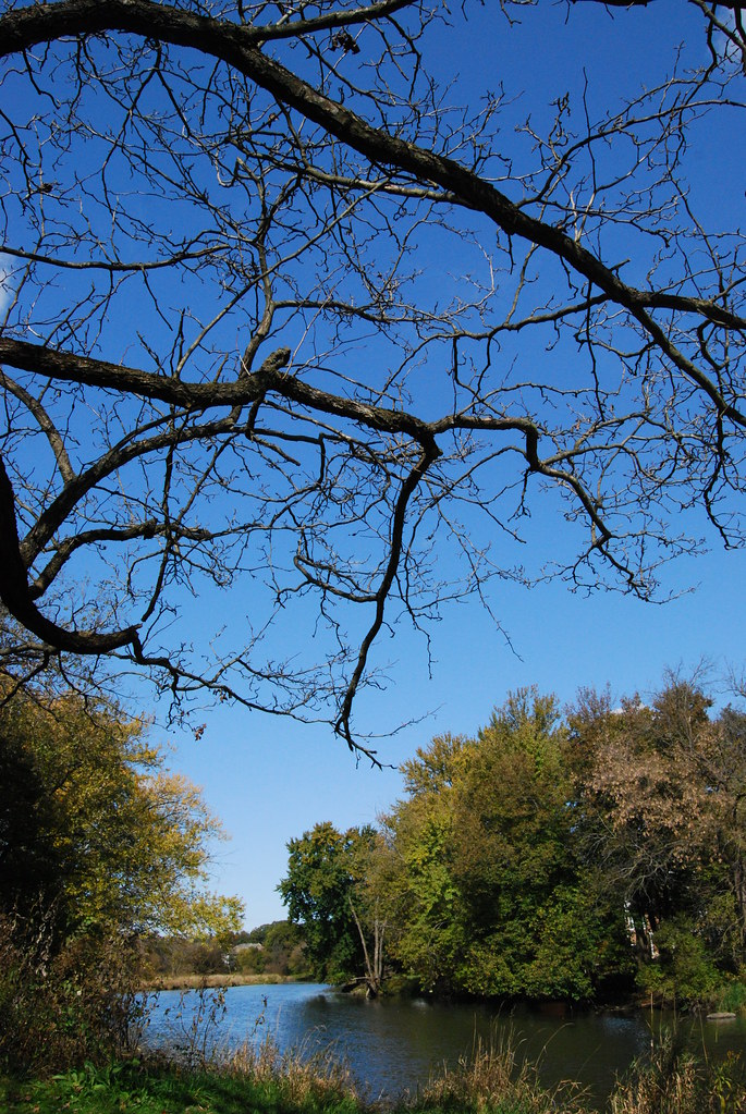 Autumn 053