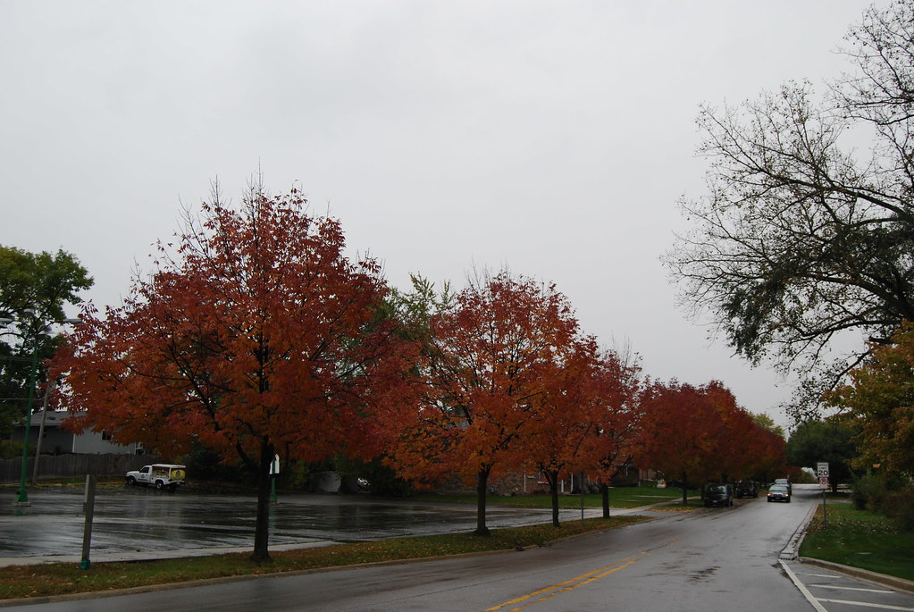 Autumn 001