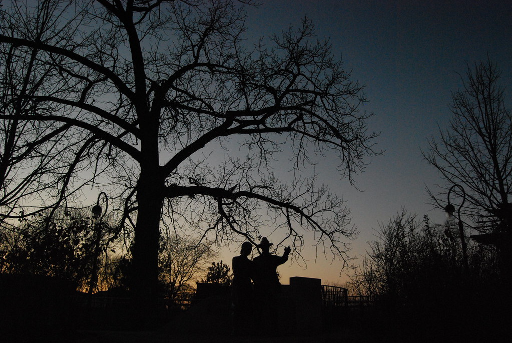 Naperville at Sunset 050