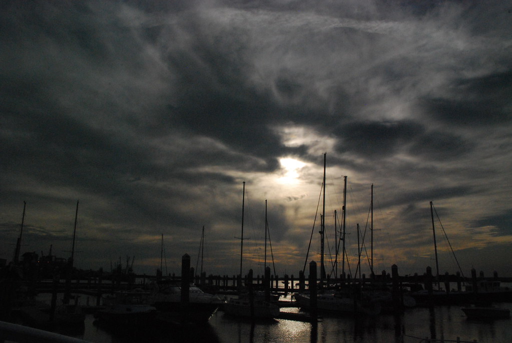 Amelia Island Florida 446