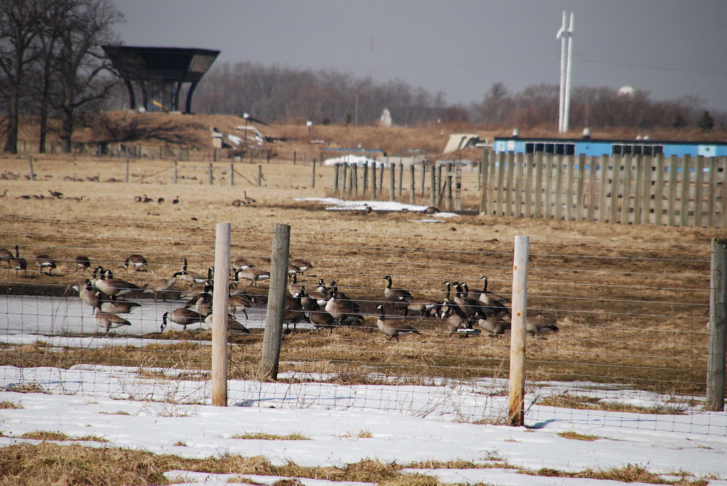 Fermilab 037