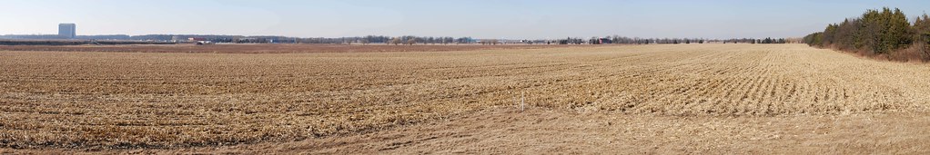 Fermilab Corn Field