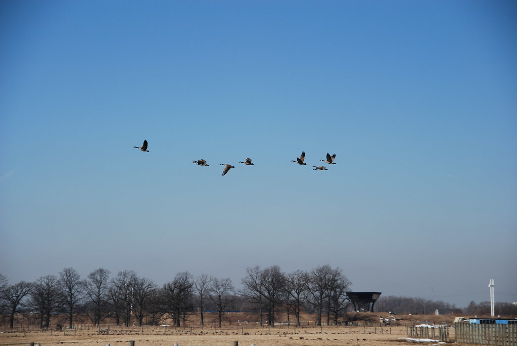 Fermilab 028