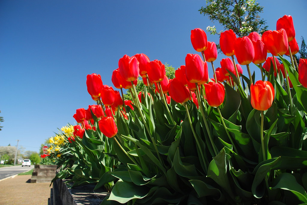 Naperville 034