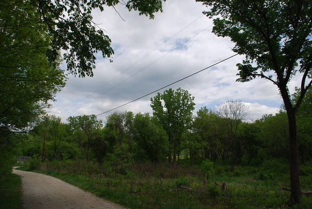 Waterfall Glen 023