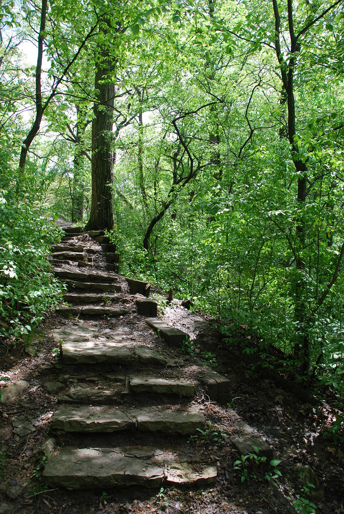 Waterfall Glen 030
