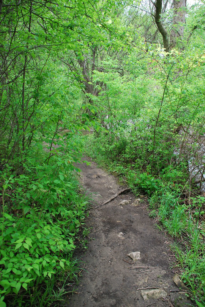 Waterfall Glen 059