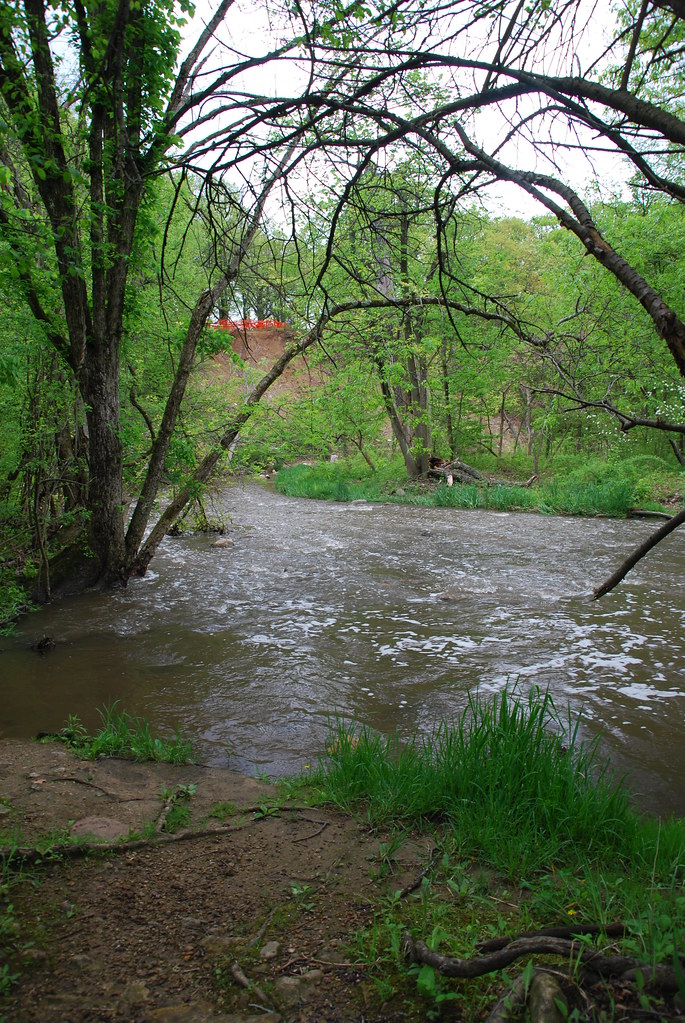 Waterfall Glen 061