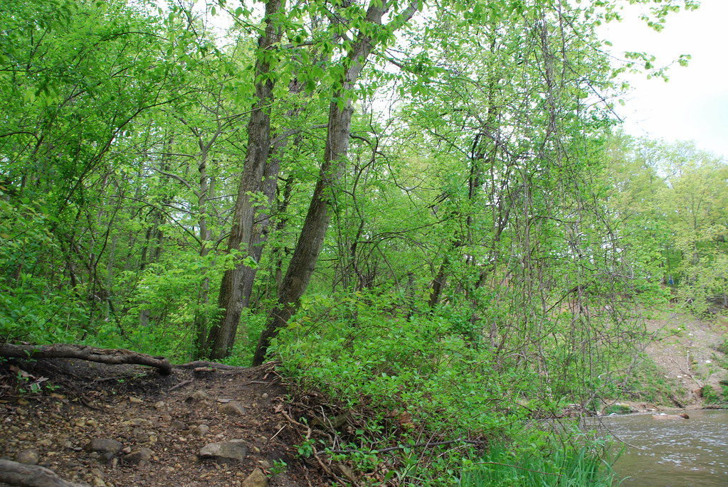Waterfall Glen 065
