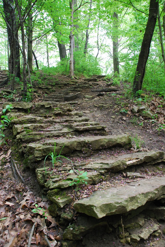 Rock Stairs at Waterfall Glen