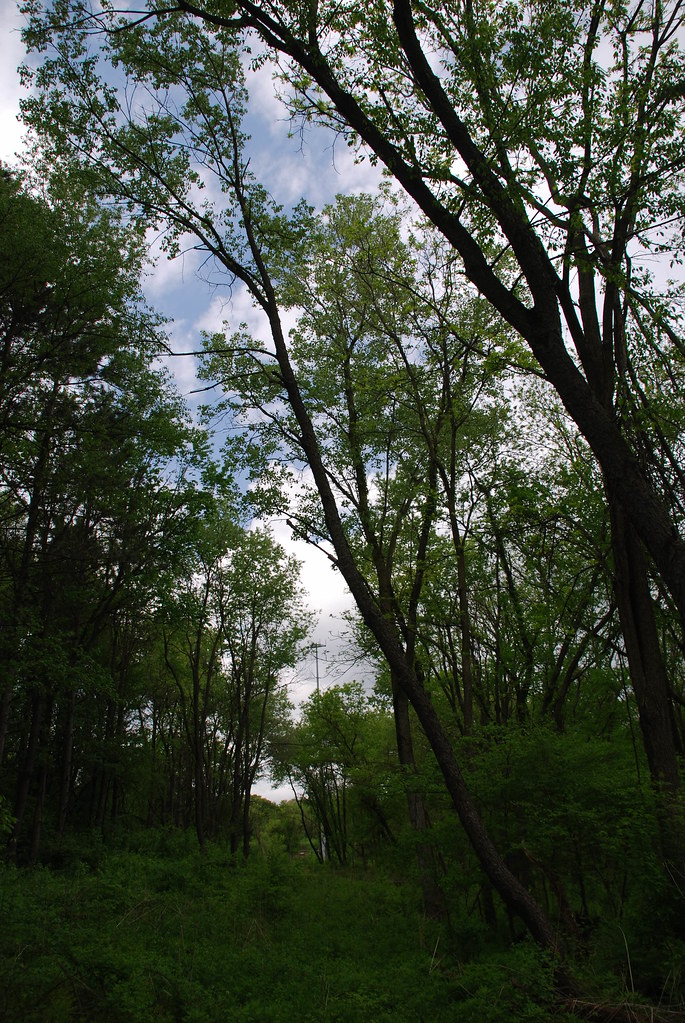 Waterfall Glen 112