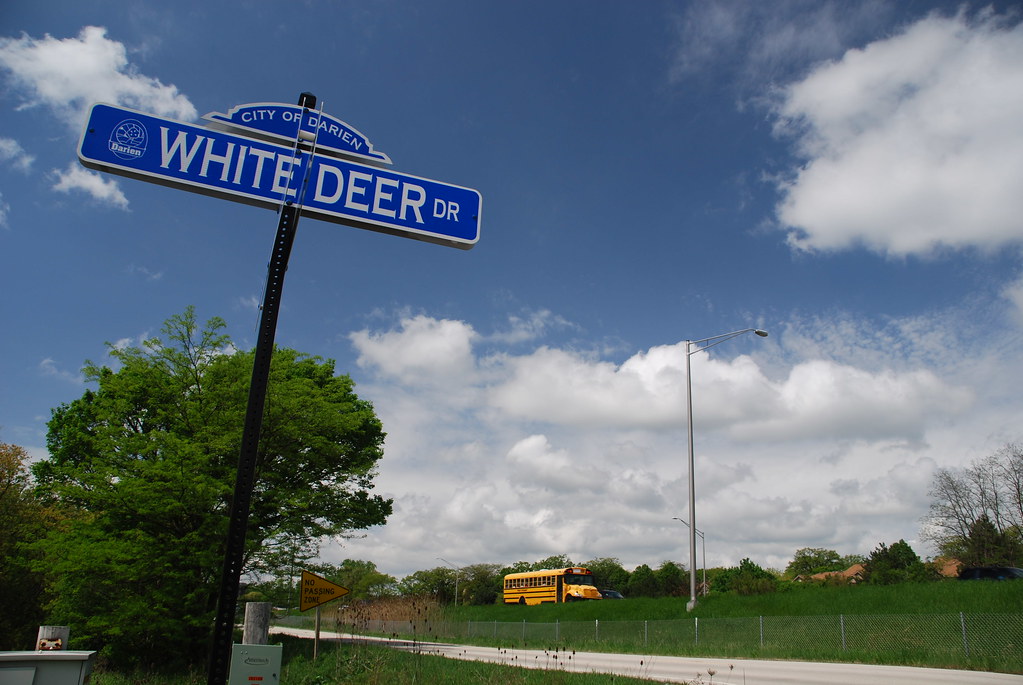 White Deer Dr
