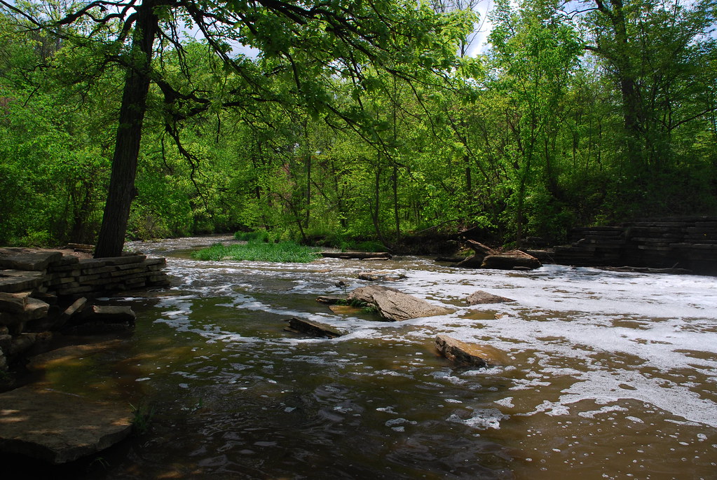 Waterfall Glen 038